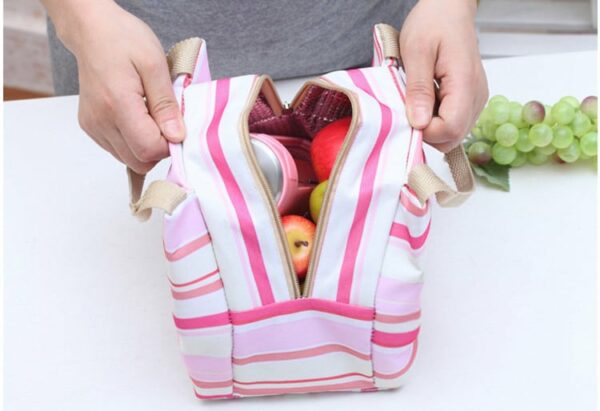 stylish travel lunch bag